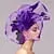 Flowers Feather Headpiece Kentucky Derby Hat