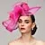 Flowers Feather Headpiece Kentucky Derby Hat